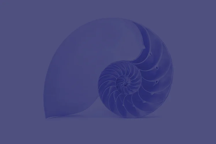 Coquille de nautile stylisée sur fond bleu marine