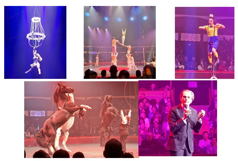 Nautile Conseil au Cirque Arlette Gruss pour célébrer l’entrepreneuriat normand